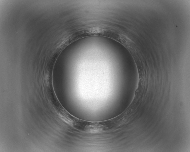 X0000078270556200611172033