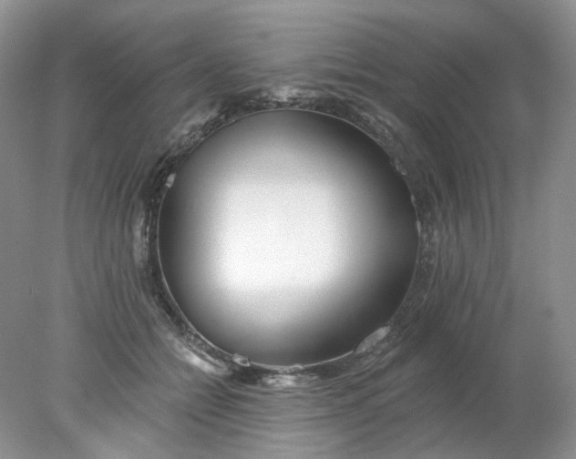 X0000078270558200611172033