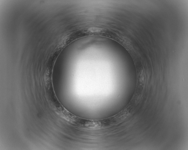 X0000078270559200611172033