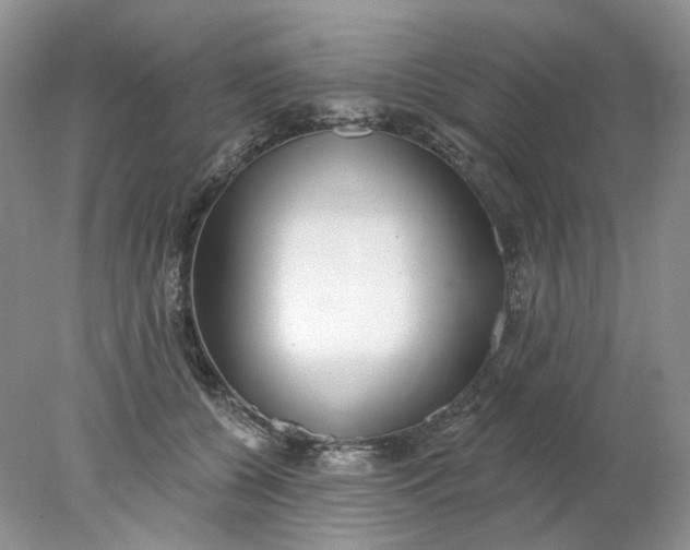 X0000078270560200611172033