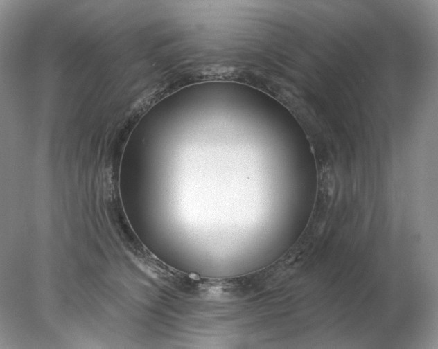 X0000078270564200611172033