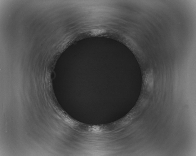 X0000078270565200611172033