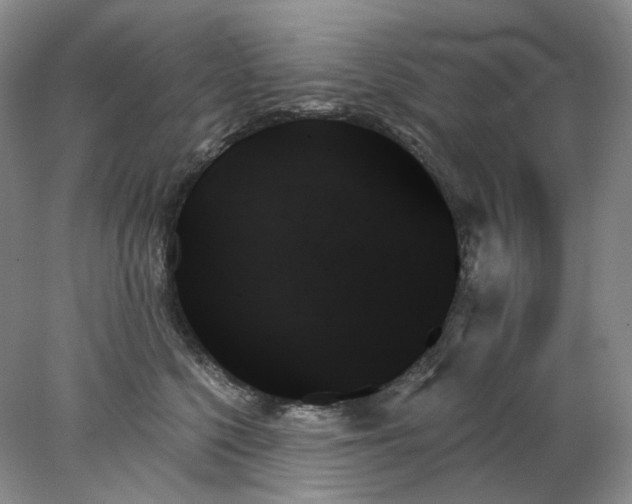 X0000078270568200611172033