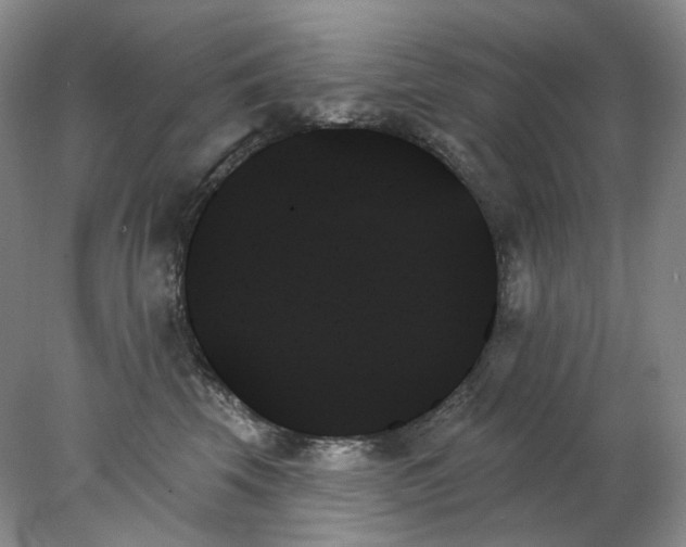 X0000078270569200611172033
