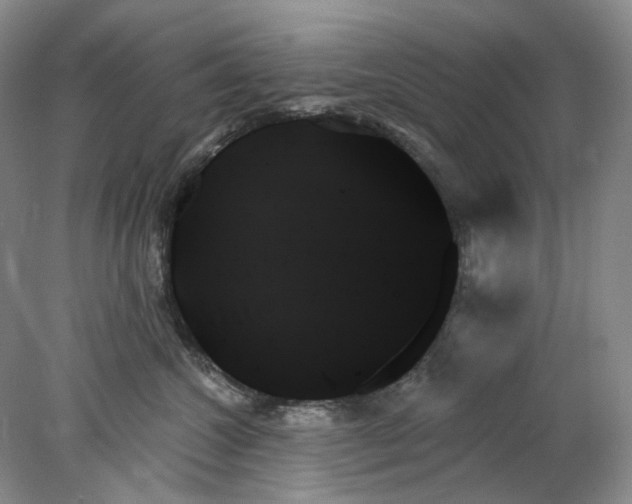 X0000078270572200611172034
