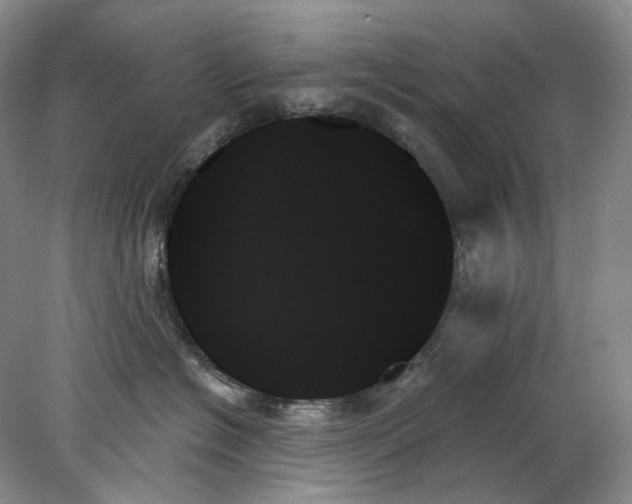 X0000078270574200611172034