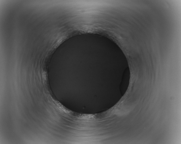 X0000078270576200611172034