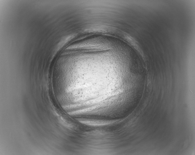 X0000078270578200611172033