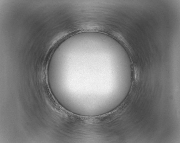 X0000078270579200611172033
