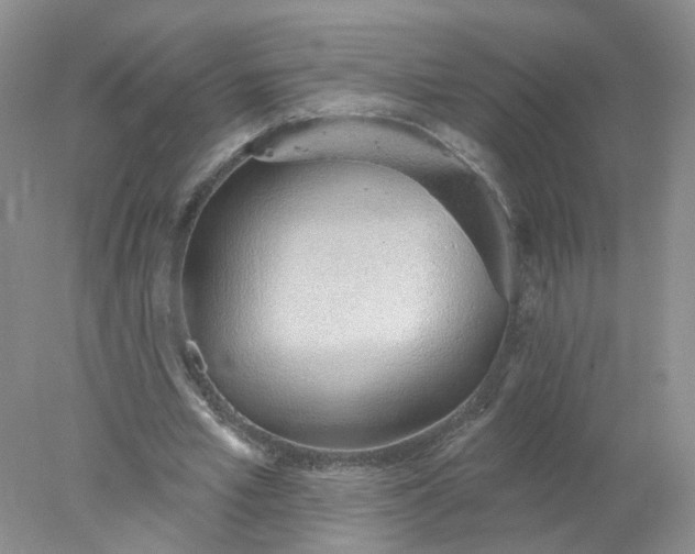X0000078270581200611172033