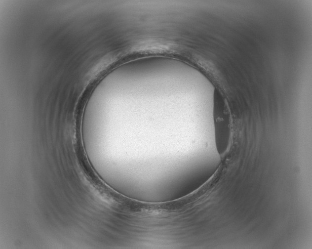 X0000078270582200611172033