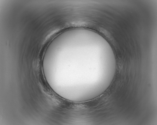 X0000078270583200611172033