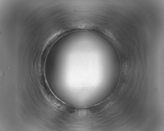 X0000078270587200611172033