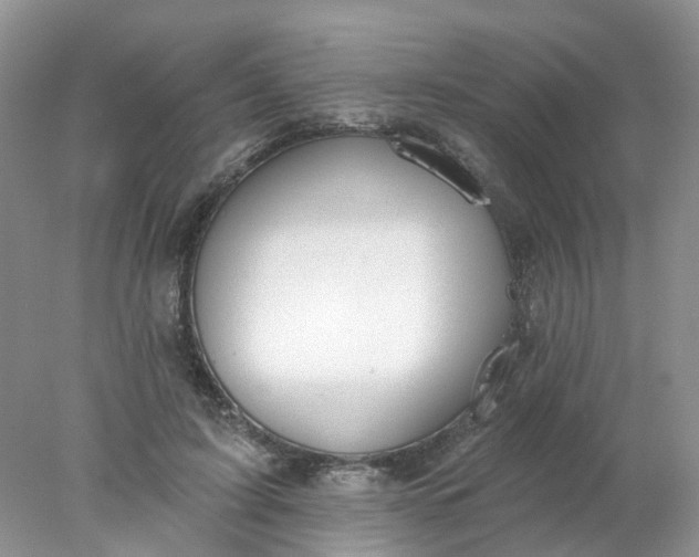 X0000078270595200611172032