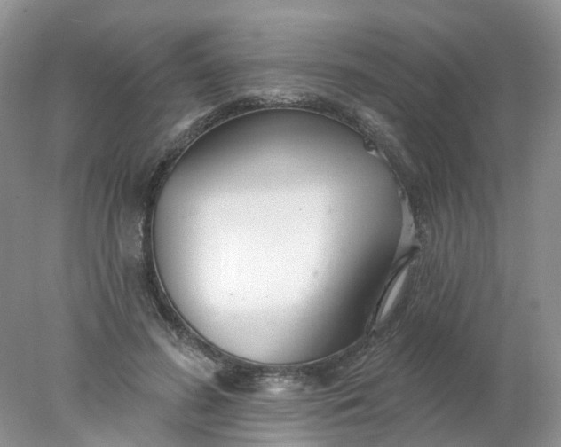X0000078270596200611172032