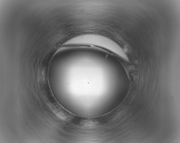 X0000078270597200611172032