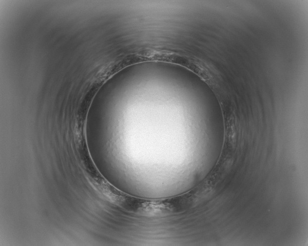 X0000078270607200611172032