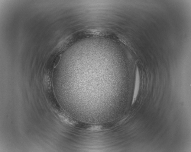 X0000078270609200611172032