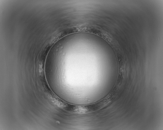 X0000078270610200611172032