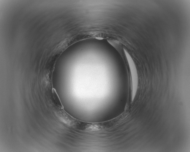 X0000078270611200611172032