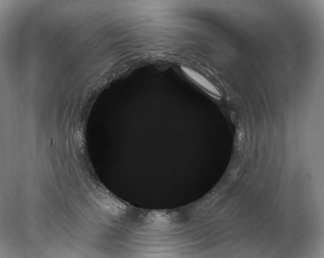 X0000078270613200611172032