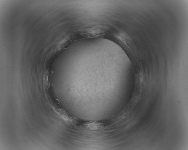 X0000078270615200611172032