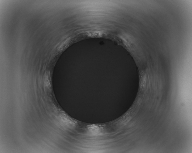 X0000078270616200611172032