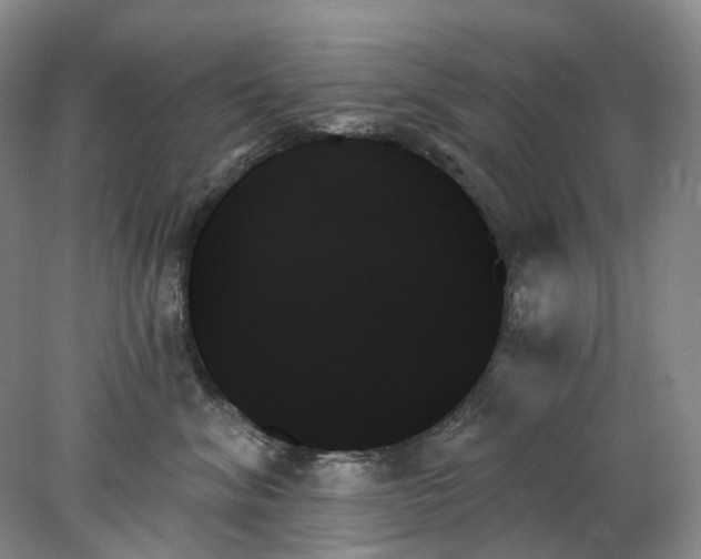 X0000078270620200611172032