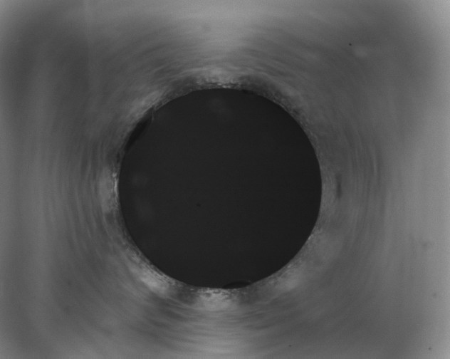 X0000078270624200611172032