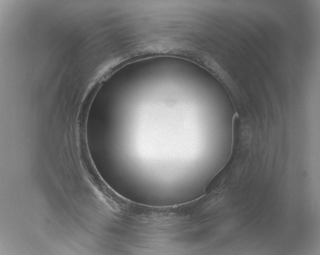 X0000078270626200611172031