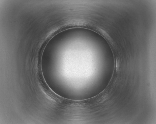X0000078270627200611172031