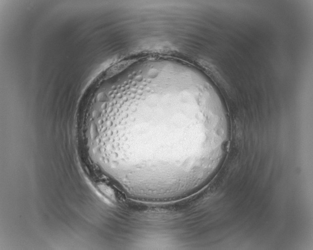 X0000078270630200611172031