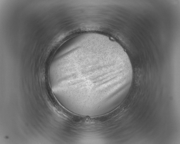 X0000078270631200611172031