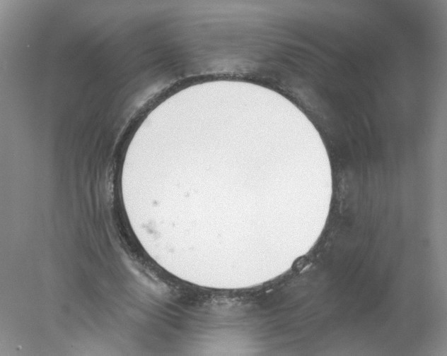 X0000078270632200611172031