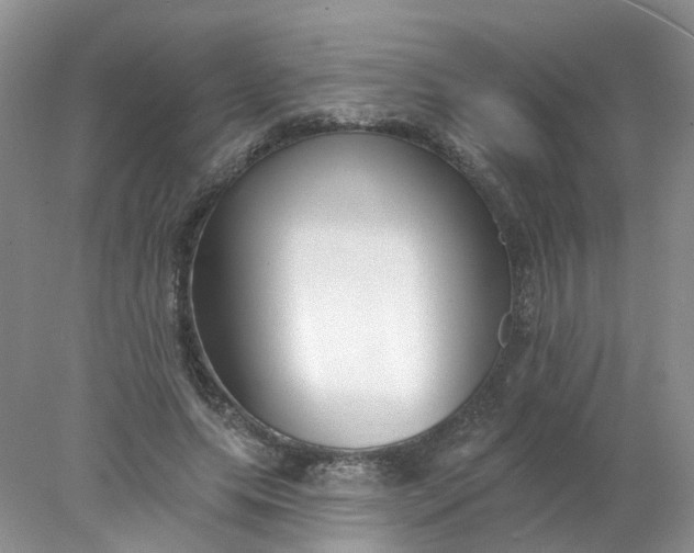 X0000078270639200611172031