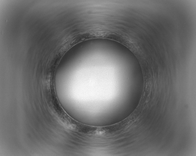 X0000078270647200611172032