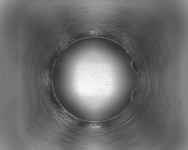 X0000078270651200611172032