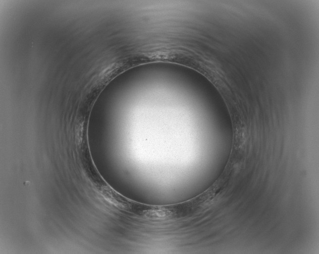 X0000078270652200611172032