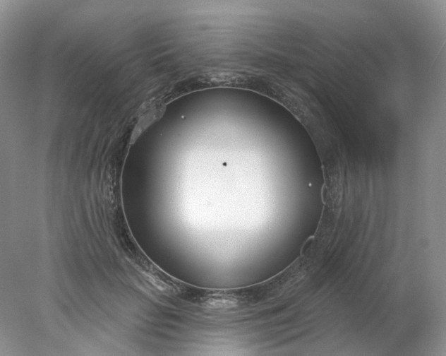 X0000078270653200611172032