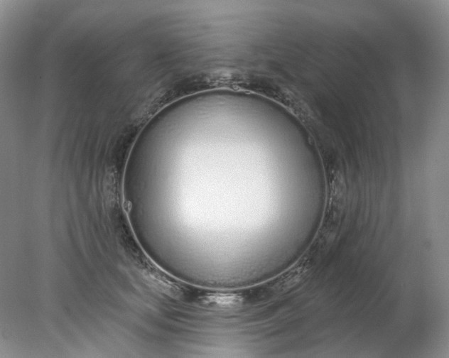 X0000078270659200611172032