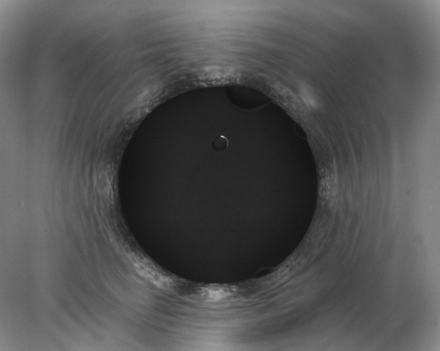 X0000078270662200611172032