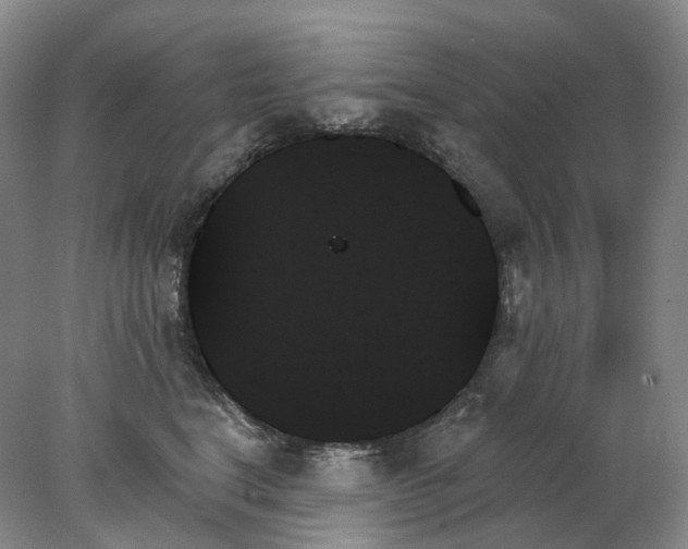 X0000078270664200611172032