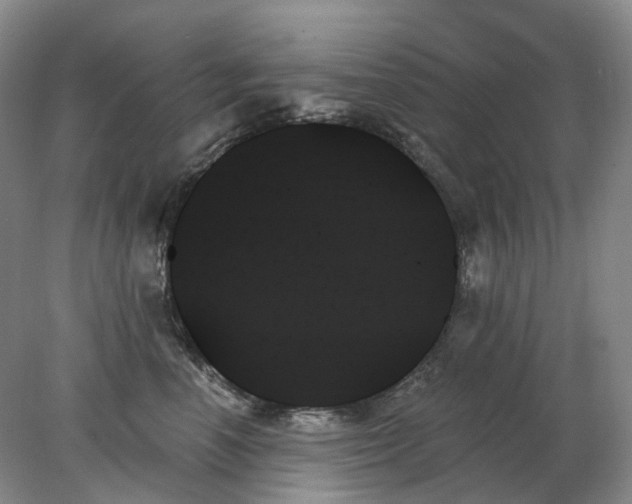 X0000078270666200611172032