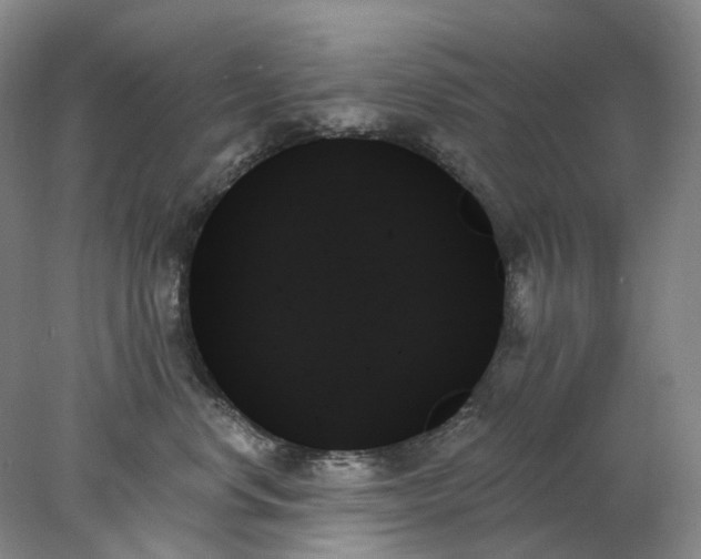 X0000078270668200611172032