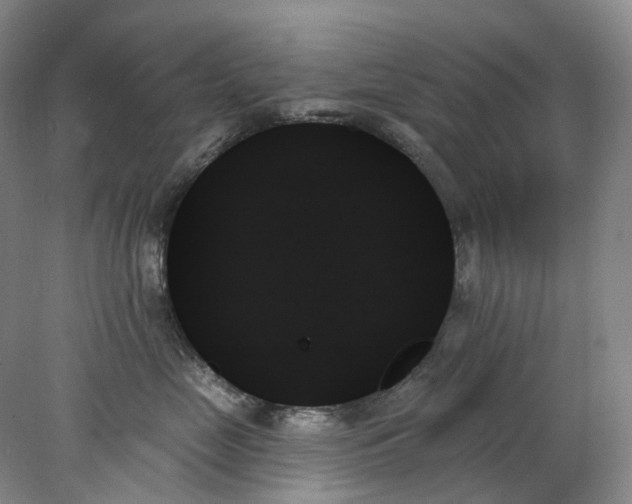 X0000078270669200611172032