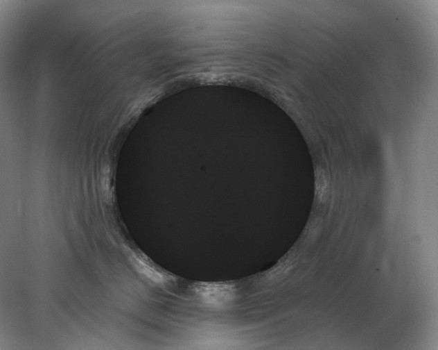 X0000078270670200611172032