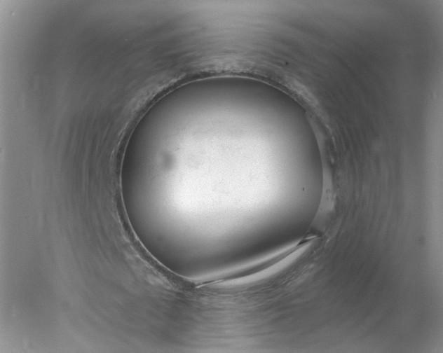 X0000078270673200611172031