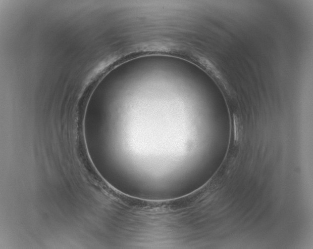 X0000078270675200611172031