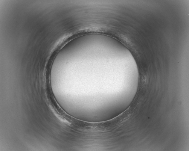 X0000078270678200611172031