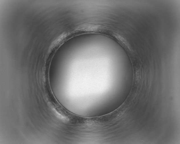 X0000078270682200611172031
